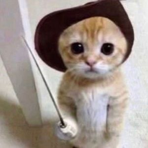 Meet your Posher, Ashleigh